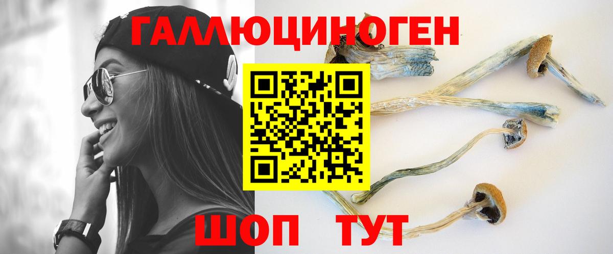 Галлюциногенные грибы Psilocybine cubensis  Вход с VPN  Менделеевск 