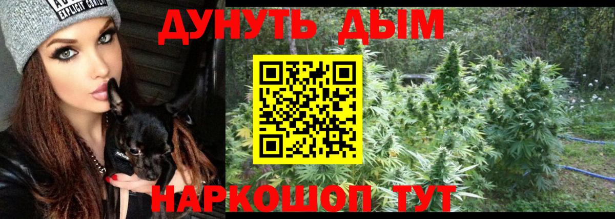 Менделеевск  Бошки Шишки марихуана  Марихуана White Widow  Канабис план  Вход с VPN 